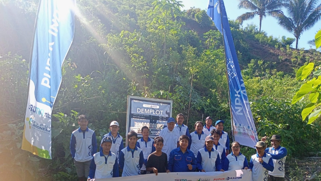 Demplot Pupuk Kaltim Tingkatkan Produktivitas Cabai Bolmut hingga 67&nbsp;Persen