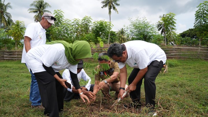 Peringati Hari Bumi, 2 Juta Pohon Ditanam Serentak di&nbsp;Sulsel
